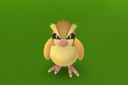 【ポケモンGO】ポッポ高個体入手してメガピジョット進化しようとしたんだが・・・