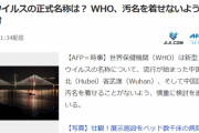 【新型肺炎】新型ウイルスの正式名称は何にする？WHOは中国に汚名を着せないよう必死に検討中ｗ
