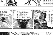 【悲報】ワンピースのセリフ回し、NARUTO末期みたいになってしまう