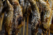 川魚の塩焼きって割とマジで無限に食えるよな