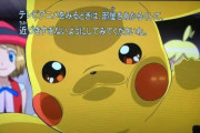 【アニメ】今日はポケモンフラッシュが起きた日
