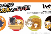 『ハイキュー!!』x「ラスカル」コラボ！ヒナガラスとラスカルが戯れているイラストを使用したグッズが登場