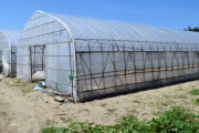 農家「ビニールハウス1000万もするのか…せや！」 → とんでもない方法で930万節約