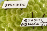 【乃木坂46】衝撃！！！あの“レジェンドオタ”から田村真佑と矢久保美緒へ差し入れが！！！！！！