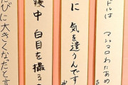 【AKB48】劇場で「アイドル川柳」の展示がスタート！
