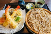 天ぷらに一番合う麺類って結局