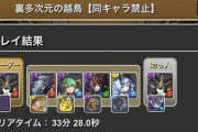 【パズドラ】ラフィーネで裏多次元35分は無理ゲー？越鳥クリアのポイントとは