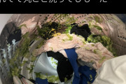 【悲報】まんさん、洗濯機の中にレタスを入れていた事を忘れそのまま洗濯してしまうｗｗｗｗｗ （※画像あり）