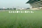 一番好きなJRAのCM