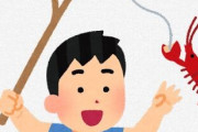 ザリガニ釣りしたことないんだが田舎のやつこんなの遊んでるのかよｗｗｗｗｗｗｗｗｗ
