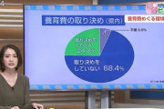 嫁に慰謝料や養育費を払ってる奴いるか？　払いたくないなら良い方法を教えてやる