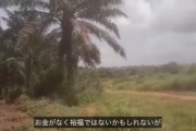 謎のアフリカ人「日本人よ‥仕事やお金に悩んで死ぬくらいならアフリカに来て自由に過ごせ」