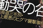 【悲報】神「三毛別羆事件に戻って村人全員を救え」