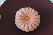 海外「菊の節句に菊を飾ろう」へら切り 菊の練り切りを使った和菓子の作り方