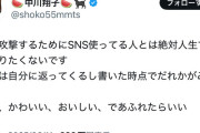 メルカリ使用子さん「転売屋から買ってない！」フォロワー「なんでプチプチの中にレシート入ってたの？」→