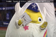 DeNAのマスコット、内川にサインをねだるｗｗｗｗ