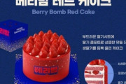【韓国】二万円相当のイチゴケーキ、とんでもない騙しテクニックを披露して炎上