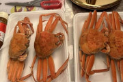 【画像】カニを買ってきたから今から宴を開始する