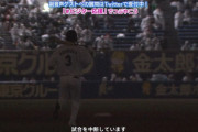 ZOZOマリン「大きい音出します」→鳥逃げない　バット持った角中が参戦→鳥逃げる