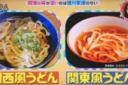 ぶっちゃけうどんのダシは関西風＞＞＞＞＞＞＞＞関東風だよな