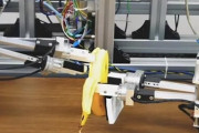 日本人の研究者らがロボットにバナナの皮をむくことを教えることのできる技術を開発！