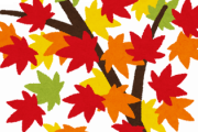 【画像】ワイが自然の紅葉を山ほどUPするよ！
