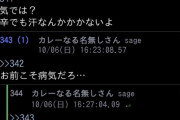 【悲報】ワイ、カレー板に始めてレスするもヤバイ奴に絡まれる
