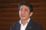 ルフィ「安倍晋三、お前もう船降りろ」
