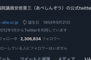 【悲報】安倍晋三さん、うっかり岸田批判ツイートにいいねしてしまうwywywywywywywywy