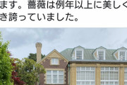 【悲報】鳩山由紀夫に噛み付いた自粛警察、恥を晒す