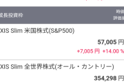 お前ら新NISAにいくら入れていくら損してる？