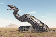 【画像】かつて地球に存在した『世界最大のヘビ』、怖すぎる…