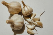 【悲報】生ニンニク、あまりにも人体に有害だった・・・・・・・・・・・・・・