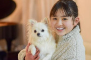 【動画】女子中学生さん、犬にめちゃくちゃにされる