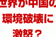 中国企業の環境破壊でニュージーランドやロシアが激怒！？　どうして中国は世界に迷惑をかけるの？