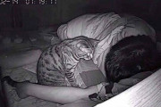 【画像】タイ人「夜なんか息苦しいから監視カメラ付て寝てみたｗｗｗｗｗｗｗｗｗｗｗｗ」