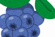 昔の人「ブルーベリーは目にいいんですよ」←嘘でしたｗｗｗｗｗｗｗｗｗｗｗｗｗｗｗｗｗｗ