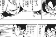 【ドラゴンボール】界王神「フリーザ程度なら一撃で倒せます」←これｗｗｗｗｗｗｗｗｗｗｗ