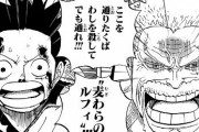 【驚愕】ONE PIECEも結局血筋ゲーだったｗｗｗｗｗ