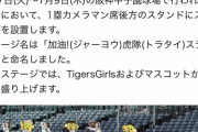 【速報】阪神、台湾野球式応援を導入