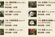 【画像】ツバキの品種の名前、すべてかっこいいｗｗｗｗｗｗｗｗｗｗｗｗｗｗｗｗｗｗｗｗｗｗｗｗ