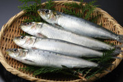 イワシ「栄養満天です、安いです、美味しいです、下処理いらないです、全身食べれます」