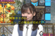 【日向坂46】さんまさん、齊藤京子の事を覚えていた！！