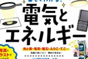 【重罪】23歳フリーター「乾電池の捨て方わかんねえ……ペットボトルに入れて用水路に捨てりゃええか」→逮捕