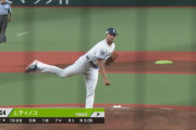 西武、救援防御率2.46（リーグ1位）