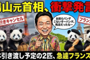 鳩山「お前らパンダこないぞーパンダ。残念だったなー」日本に引き渡し予定の2匹はフランスに