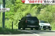 「自由すぎる危ない運転」サンルーフから身を乗り出す子供たち、走行車の間をシニアカーが横断、ナチュラルに信号無視