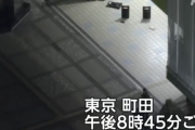 【悲報】東京で人が拳銃で撃たれ死亡。政治が腐敗し日本の治安は地に落ちたね