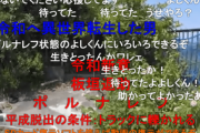 aiueo700がsyamuみたいに万人受けしない理由w
