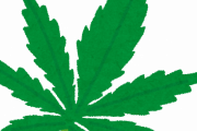 大麻吸ったことあるヤツにしかわからないことwwwwwww